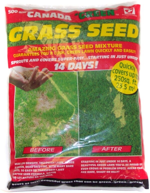 Canada Green Grass Seed Timbermills