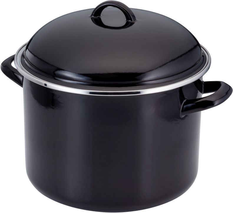 Judge Induction Stockpot 22cm Timbermills