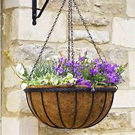 Planter & Pots,hanging baskets etc